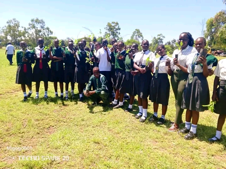 Reforestation Initiatives